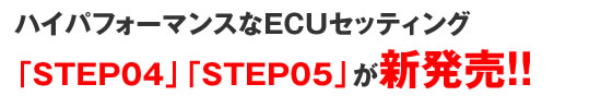 �X�|�[�cECU