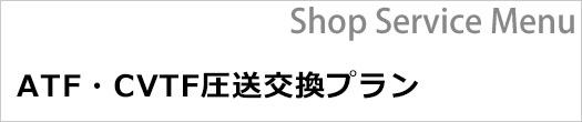 ATFECVTFv